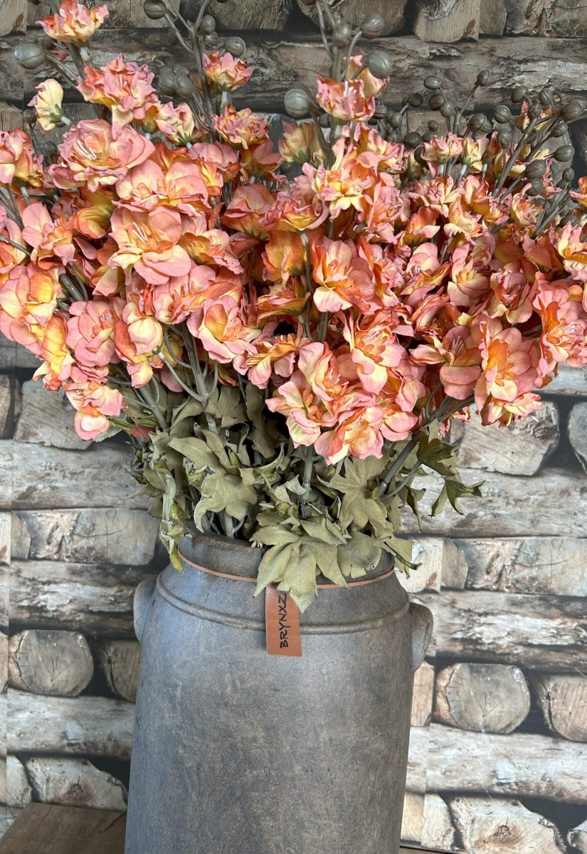 Delphinium Copper 75 cm - Afbeelding 3