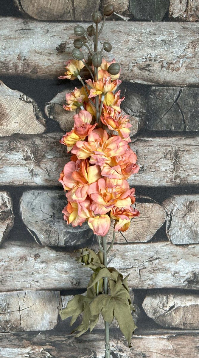 Delphinium Copper 75 cm - Afbeelding 2