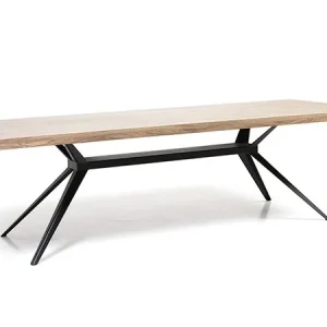Seuren Zwaan eettafel